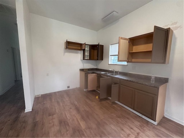 kitchen with sink and dark hardwood / wood-style floors