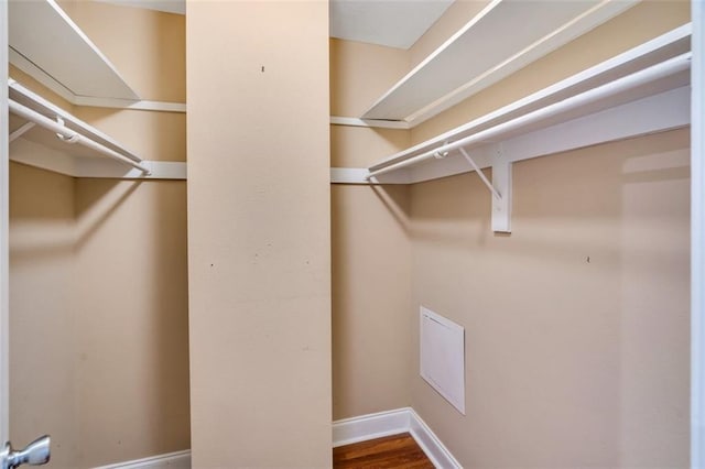 walk in closet featuring wood-type flooring