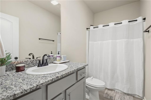 bathroom featuring vanity, wood-type flooring, and toilet