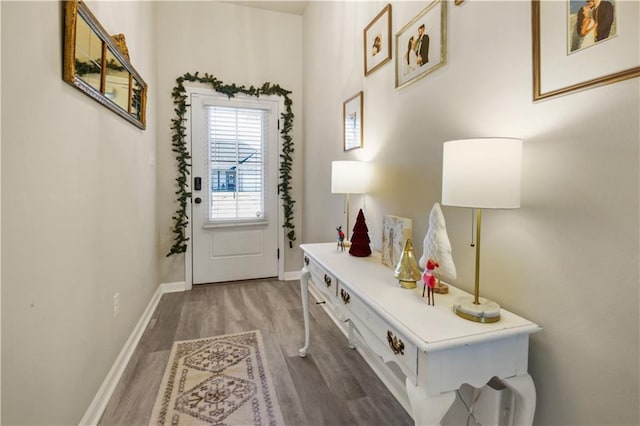 mudroom with hardwood / wood-style flooring