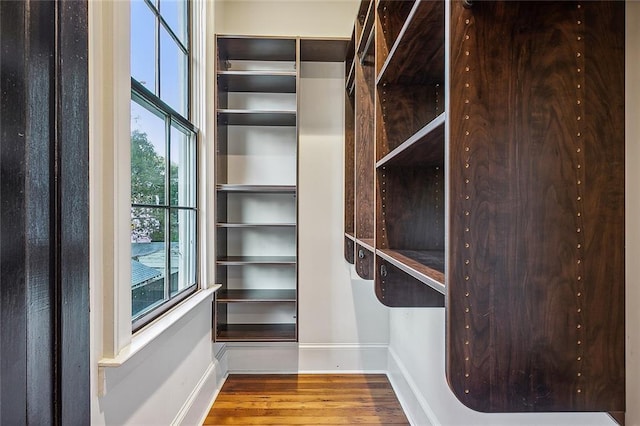 spacious closet featuring wood-type flooring