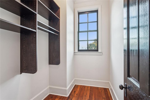 spacious closet with dark hardwood / wood-style flooring