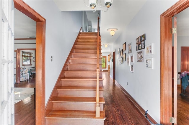 stairway with hardwood / wood-style floors