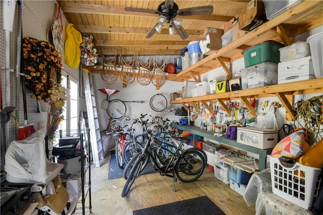 storage with ceiling fan