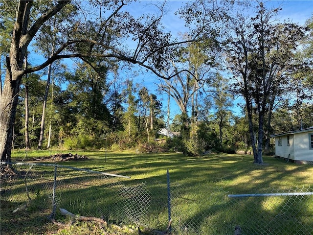 view of yard