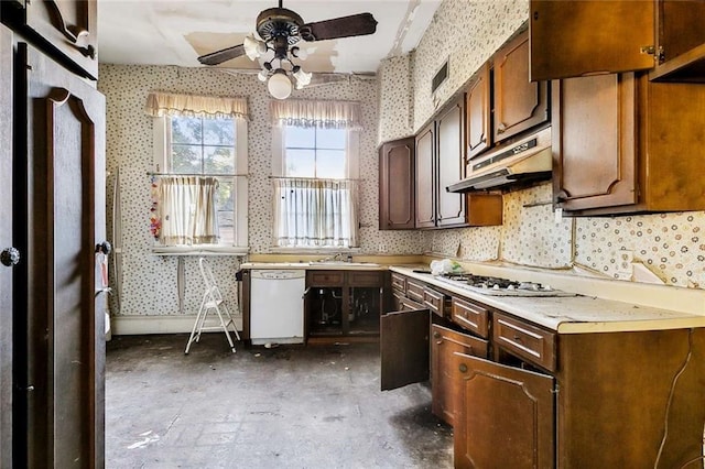 kitchen with white dishwasher, ceiling fan, sink, and stainless steel gas cooktop