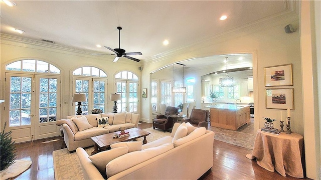 living room featuring french doors, a wealth of natural light, and dark wood-type flooring