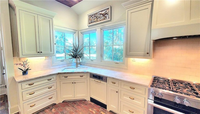 kitchen with sink, white dishwasher, a healthy amount of sunlight, and stainless steel gas range