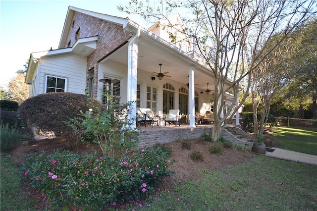 back of house featuring ceiling fan, a patio area, and a yard