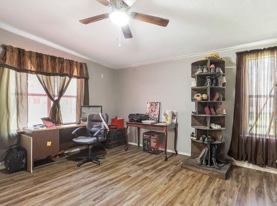 home office featuring hardwood / wood-style floors, ceiling fan, crown molding, and a wealth of natural light