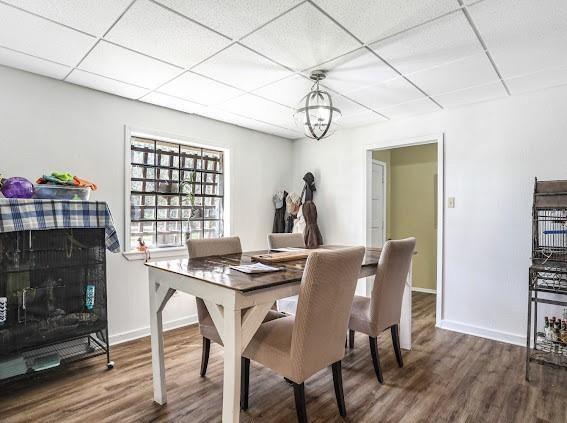 dining area featuring hardwood / wood-style floors and a paneled ceiling