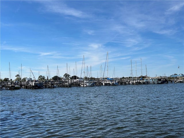 property view of water with a dock