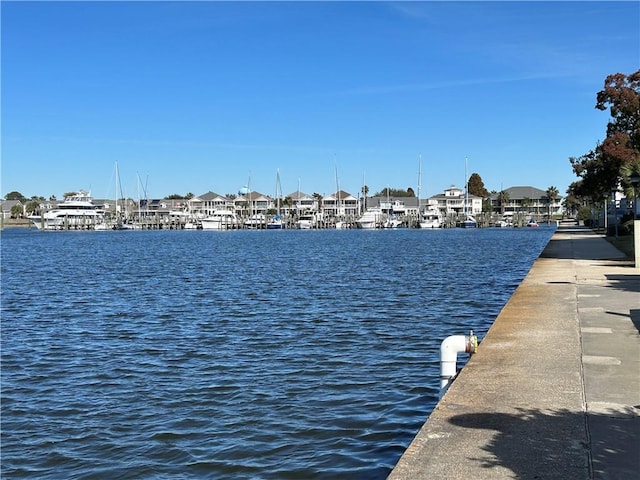 property view of water with a dock