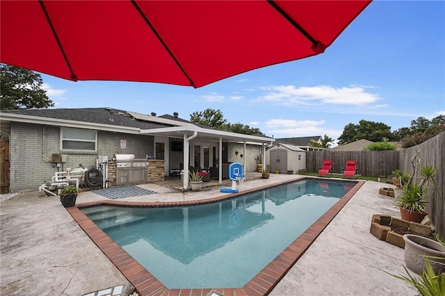 view of pool featuring a grill, a patio, and a shed