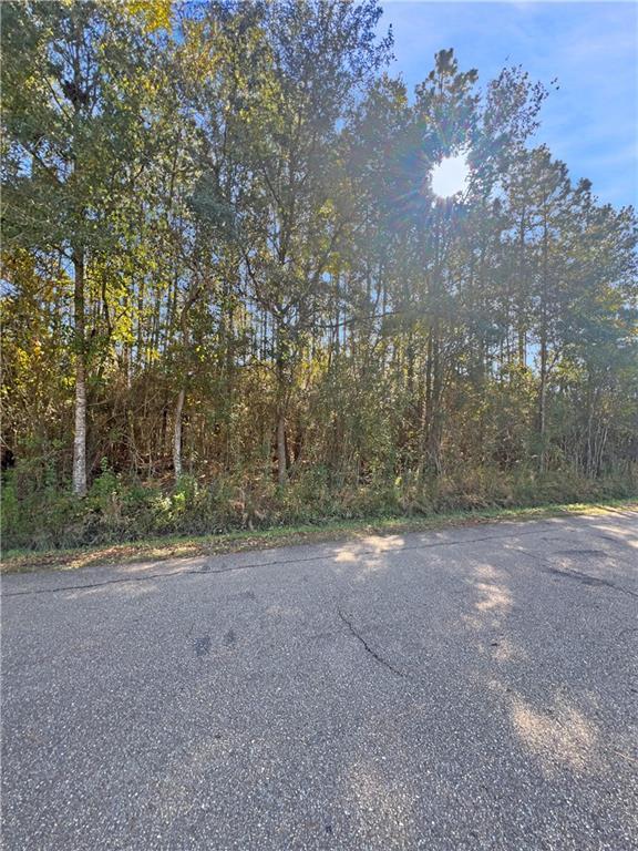 LOT11 Chapman Dr, Abita Springs, LA 70420 - photo 2