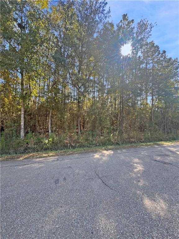 LOT11 Chapman Dr, Abita Springs, LA 70420 - photo 2