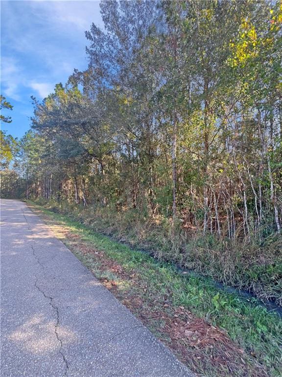 LOT11 Chapman Dr, Abita Springs, LA 70420 - photo 3