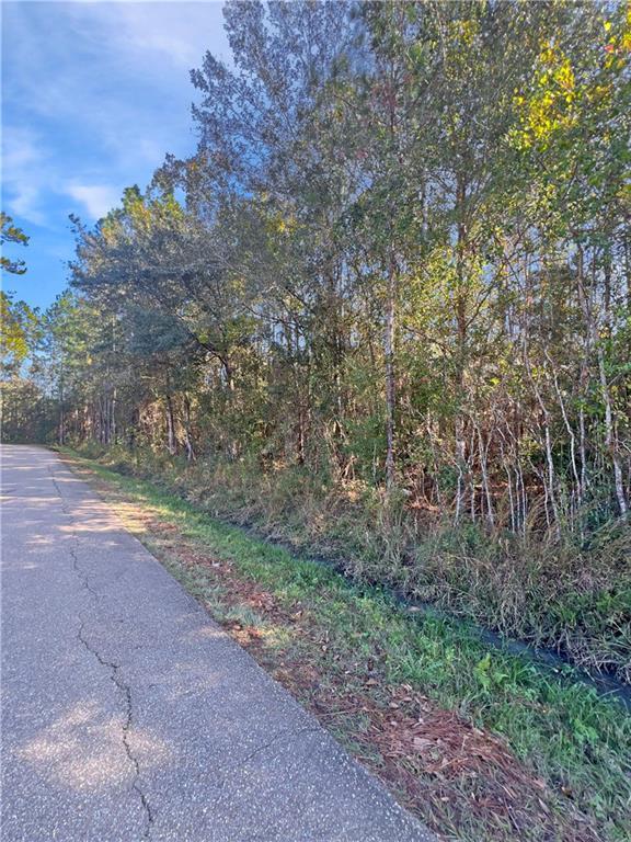 LOT11 Chapman Dr, Abita Springs, LA 70420 - photo 3