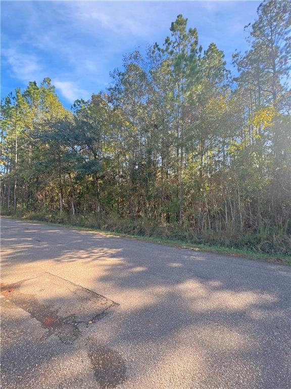 LOT11 Chapman Dr, Abita Springs, LA 70420 - photo 4