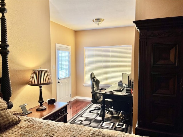 office featuring wood-type flooring