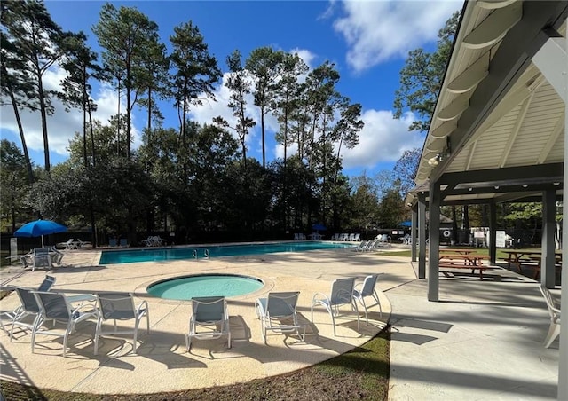 view of pool with a patio