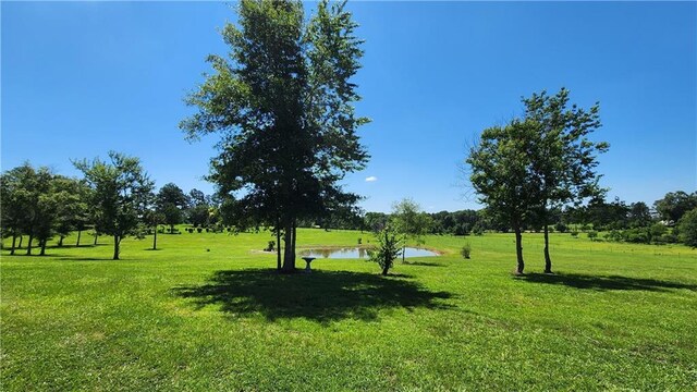 view of yard with a water view