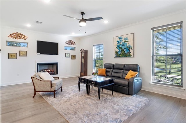 living room featuring light hardwood / wood-style floors, ceiling fan, and crown molding