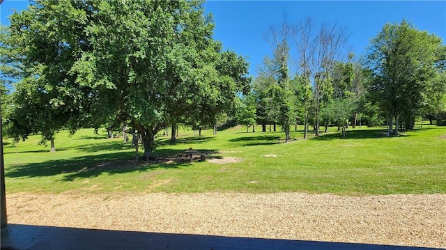 view of community featuring a yard