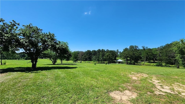 view of yard with a rural view