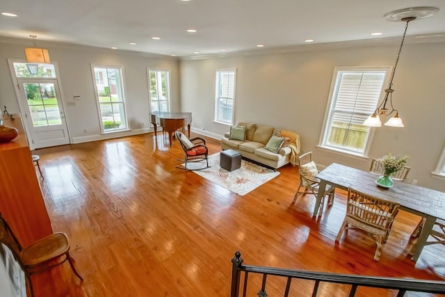 living room featuring crown molding and light hardwood / wood-style flooring