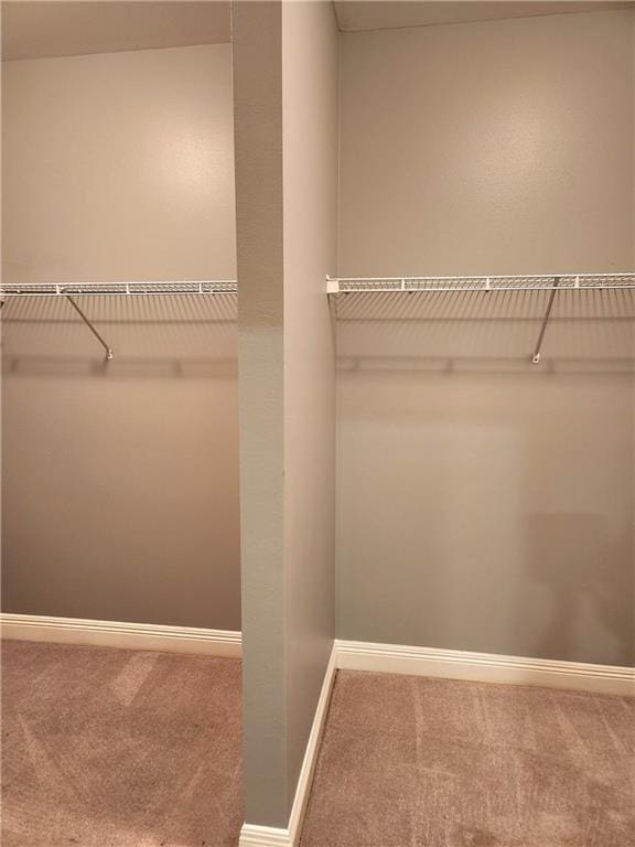 walk in closet with carpet floors