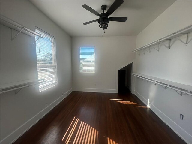 walk in closet with dark hardwood / wood-style floors and ceiling fan