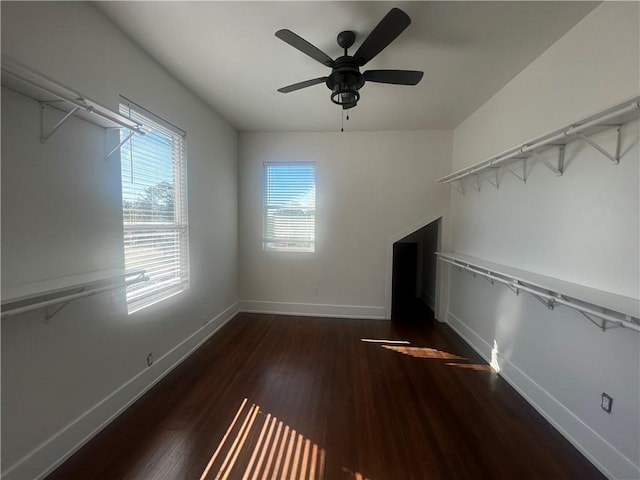 spacious closet with ceiling fan and dark wood-type flooring