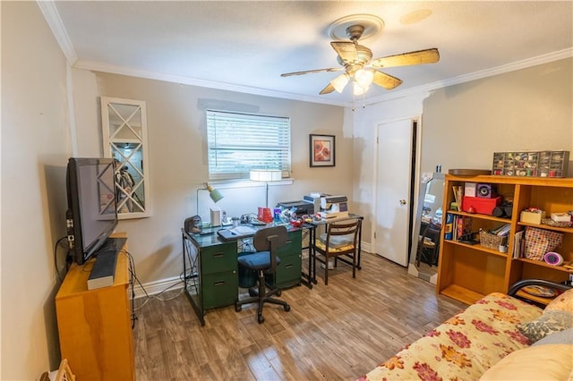 home office with hardwood / wood-style flooring, ceiling fan, and ornamental molding