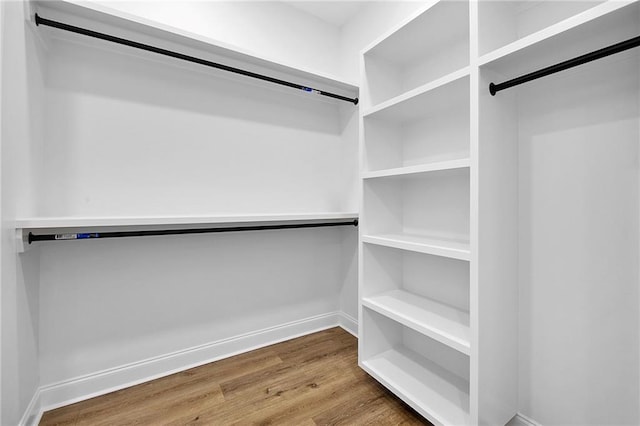 spacious closet with hardwood / wood-style floors