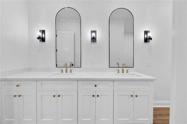 bathroom with hardwood / wood-style flooring and vanity