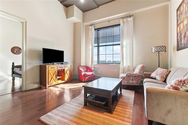 living room featuring hardwood / wood-style flooring