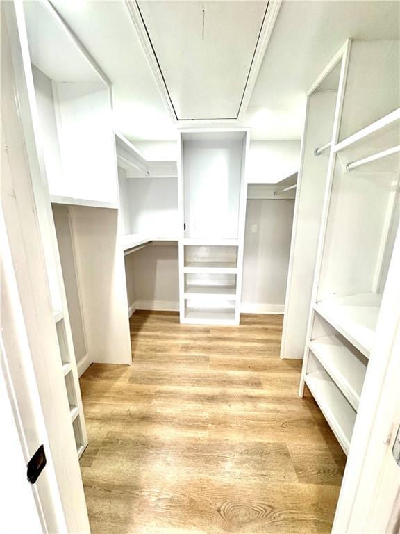 spacious closet with light hardwood / wood-style floors