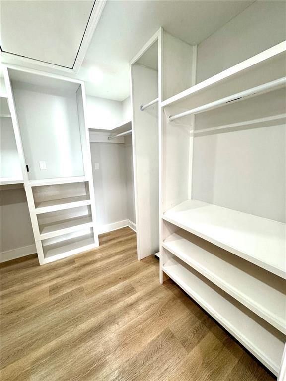 spacious closet featuring wood-type flooring