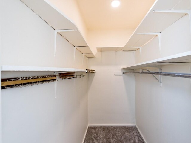 walk in closet featuring dark carpet