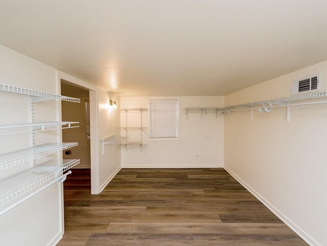 walk in closet featuring dark hardwood / wood-style floors