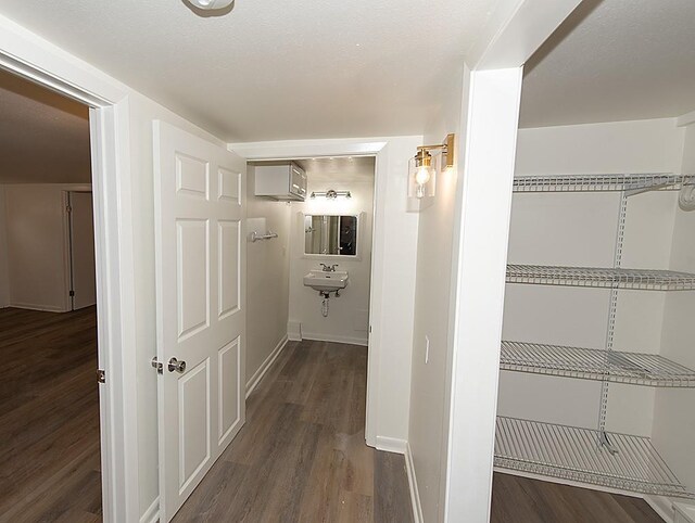 hall featuring dark hardwood / wood-style floors