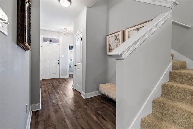 foyer featuring dark wood-type flooring