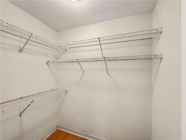 spacious closet with wood-type flooring