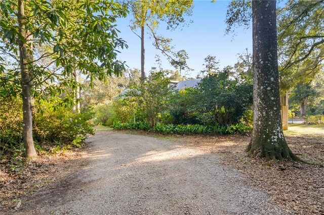 view of rear view of property