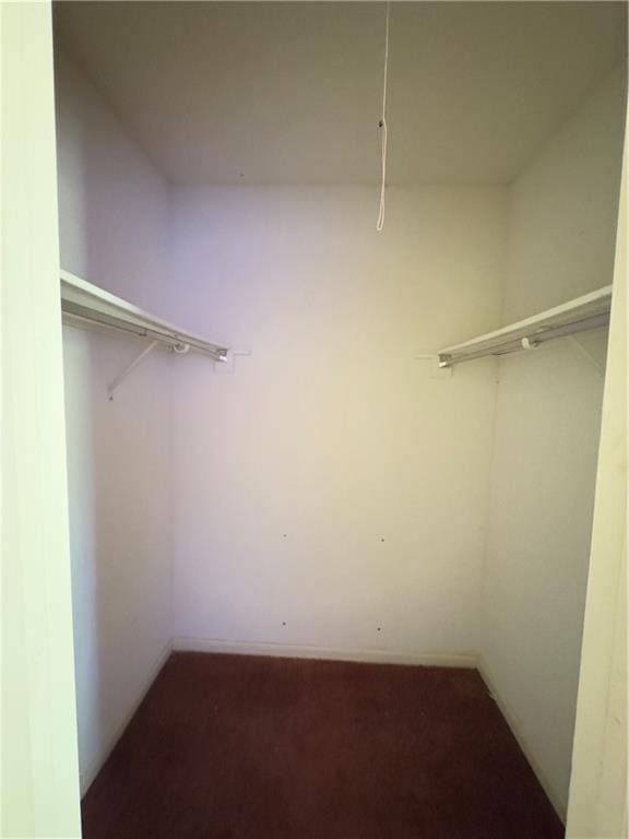 walk in closet with carpet floors