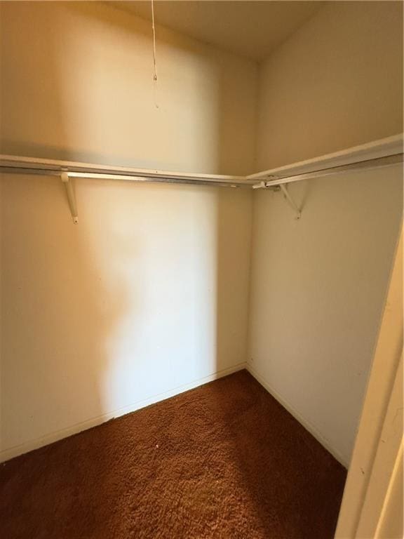 walk in closet featuring carpet