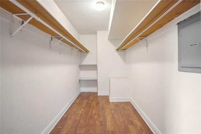 walk in closet with electric panel and light hardwood / wood-style floors