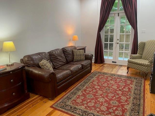 living room featuring french doors, light hardwood / wood-style floors, and plenty of natural light