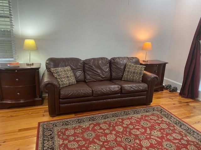 living room featuring hardwood / wood-style floors